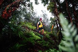 BIB: 
                            <button type="button" onclick="openModal(26205597)" class="btn btn-primary btn-sm float-right btn-popup" data-toggle="modal" data-target=".modal-high-quality">
                        <i class="fas fa-shopping-cart"></i> Add to Cart
                    </button>
                                            <button type="button" onclick="isThisMe(26205597, true)" class="btn btn-success btn-sm float-right btn-popup btn-isme hidden" data-toggle="tooltip" data-placement="bottom" title="นี่คือรูปของคุณใช่ไหม คลิกที่นี่เพื่อเอาเข้าอัลบั้ม">
                        <i class="fas fa-plus"></i> Add to album
                    </button>
                    <button type="button" onclick="isThisMe(26205597, false)" class="btn btn-warning btn-sm float-right btn-popup btn-isnotme hidden">
                        <i class="fas fa-ban"></i> Remove from album
                    </button>